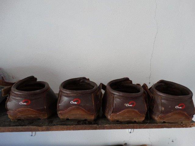 pro1